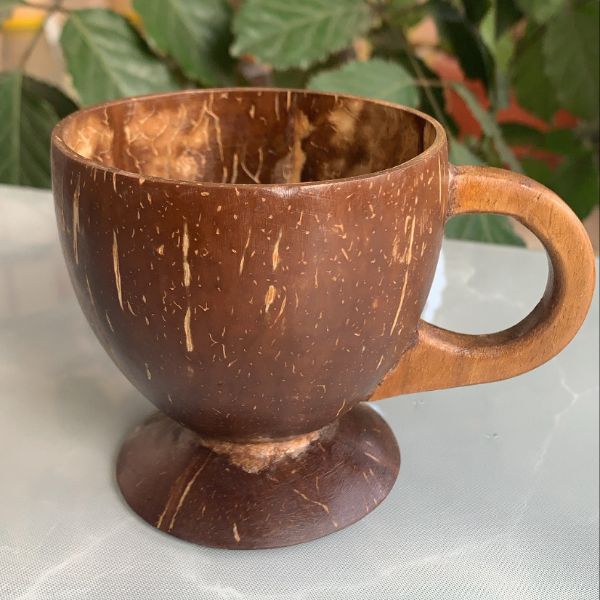 Wudbox Coconut shell Cups